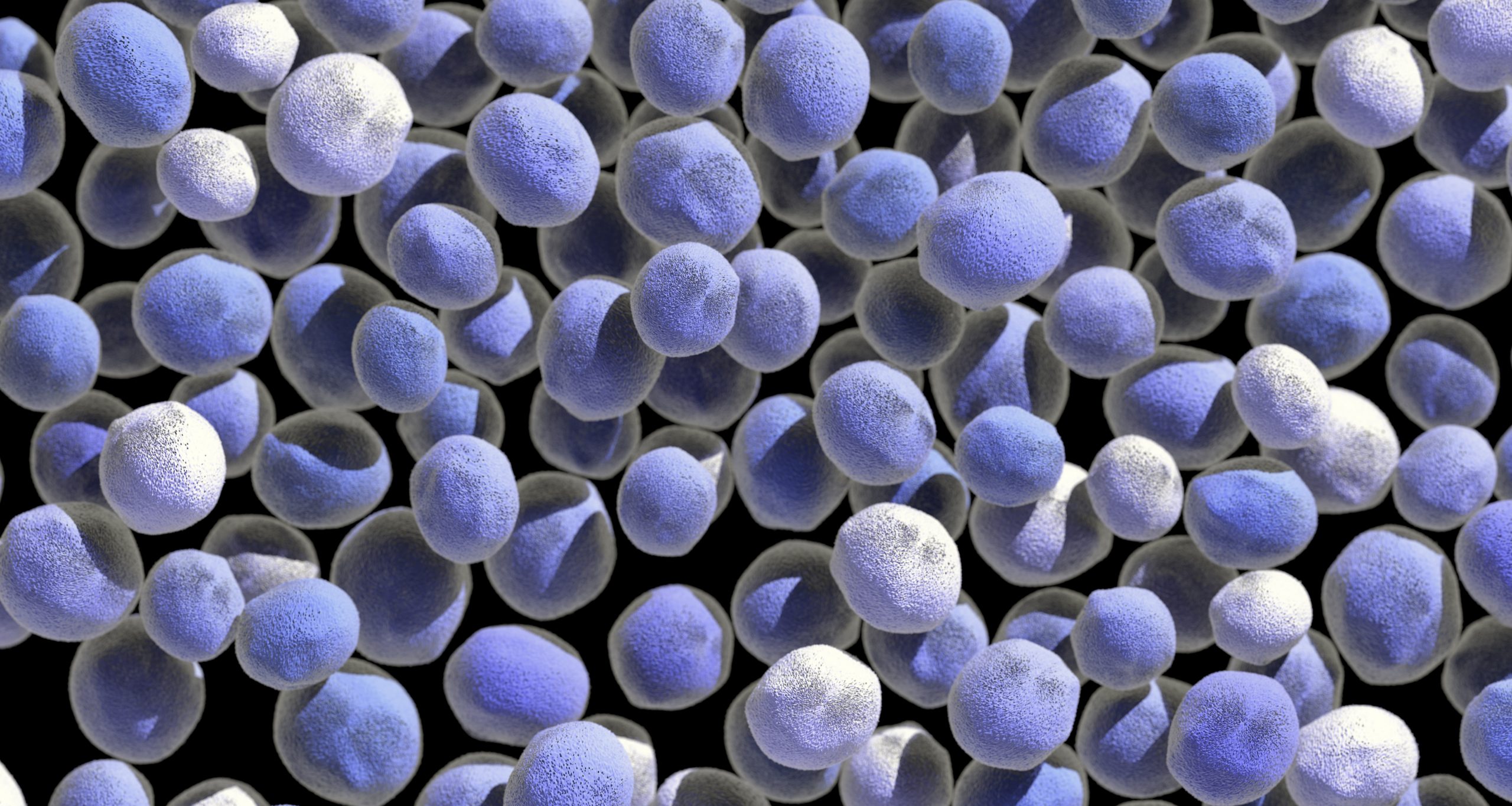 Blue Microorganism uv lights in classrooms
