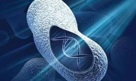 Ultraviolet Light for Disinfection