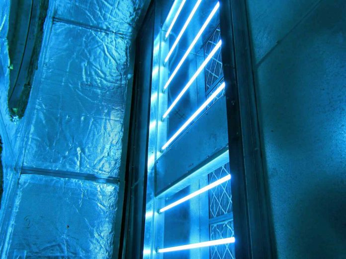 uv black light to detect mold