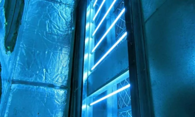 Killing Bacteria with UV Light: Does UV Light Kill Mold and Bacteria
