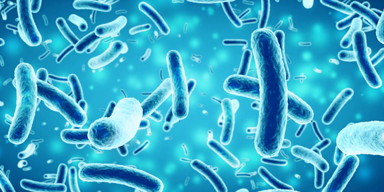 A Pandemic Must-Have: UVC Wand