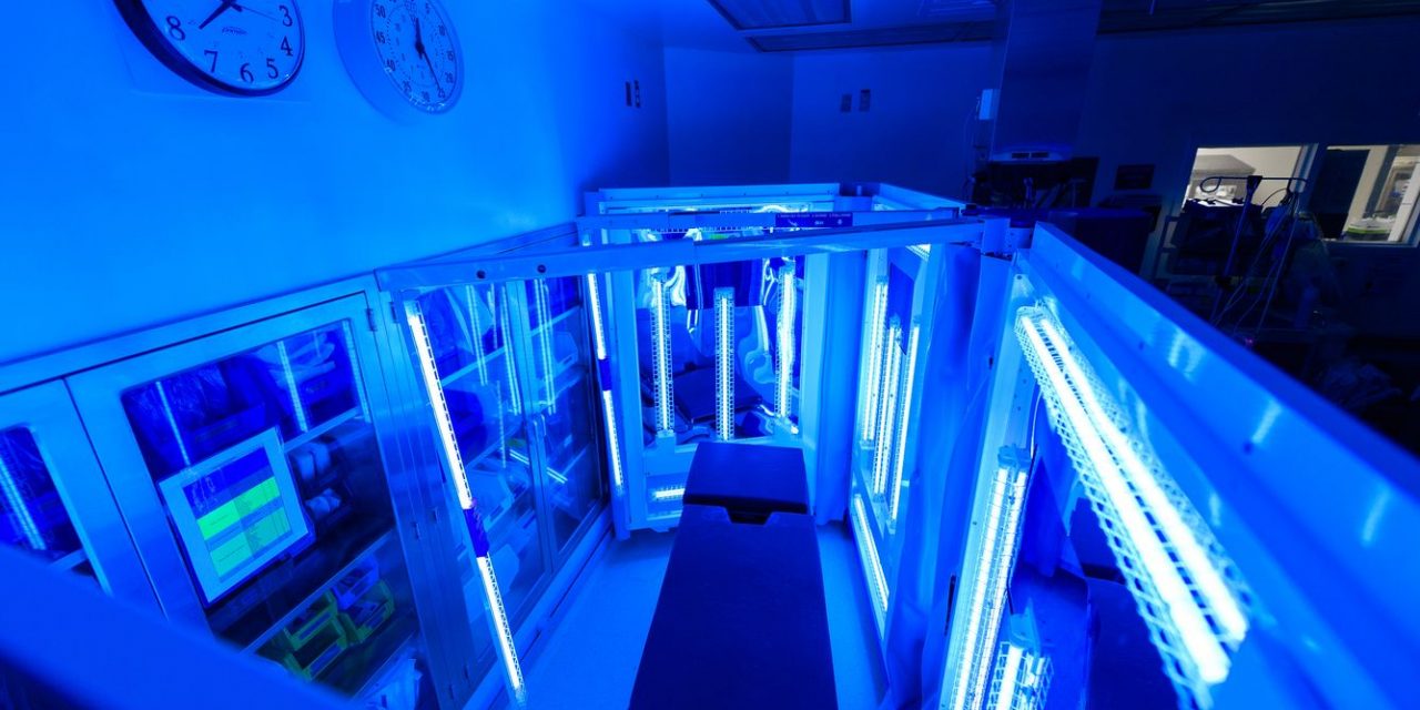 blue-light-room