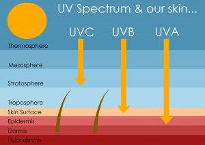 Ultraviolet Light Disinfection: How Is Germicidal UV Being Used Around ...